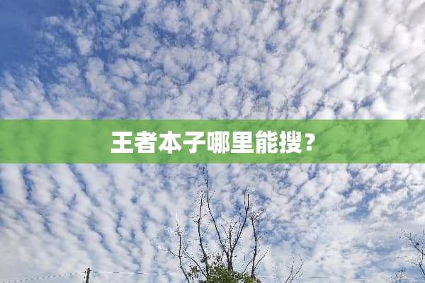 王者本子哪里能搜？