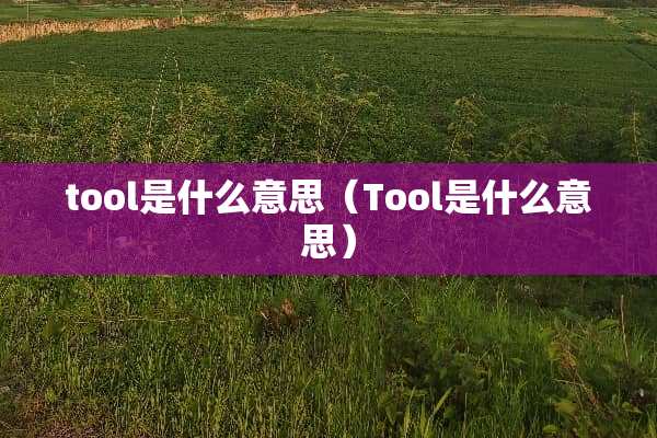 tool是什么意思（Tool是什么意思）