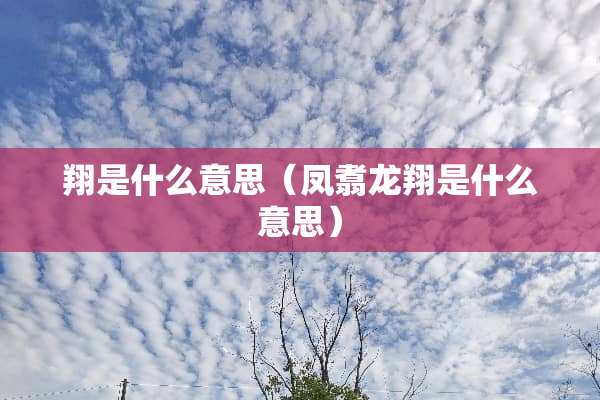 翔是什么意思（凤翥龙翔是什么意思）