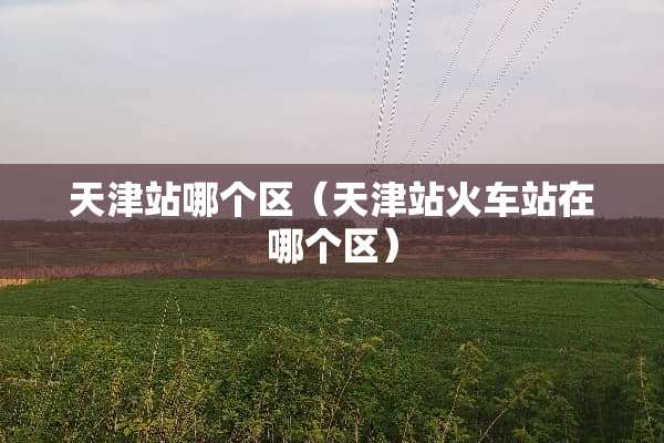 天津站哪个区（天津站火车站在哪个区）