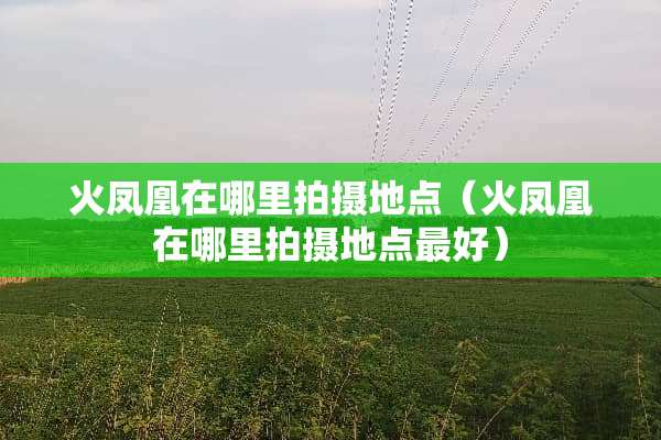 火凤凰在哪里拍摄地点（火凤凰在哪里拍摄地点最好）