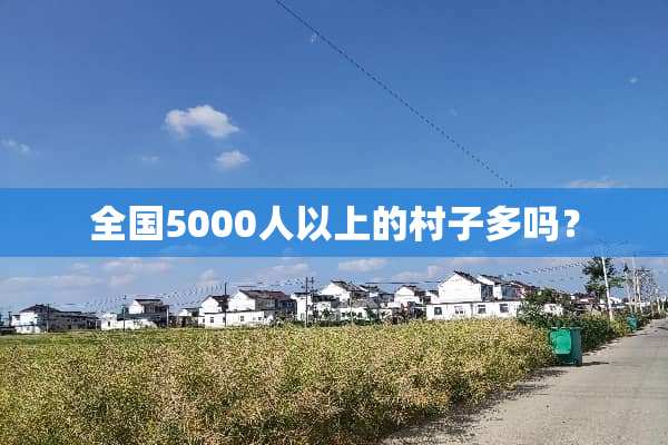 全国5000人以上的村子多吗？