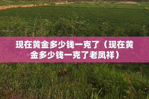 现在黄金多少钱一克了（现在黄金多少钱一克了老凤祥）