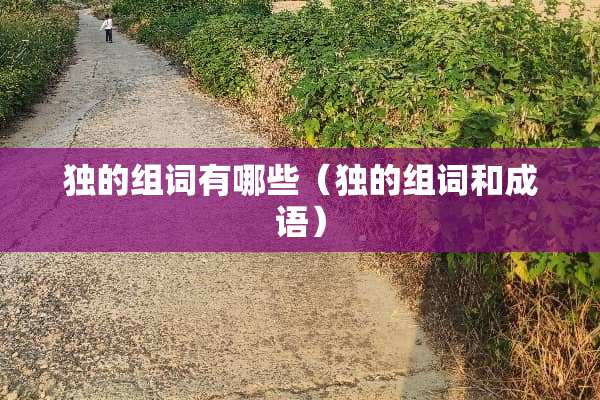 独的组词有哪些（独的组词和成语）