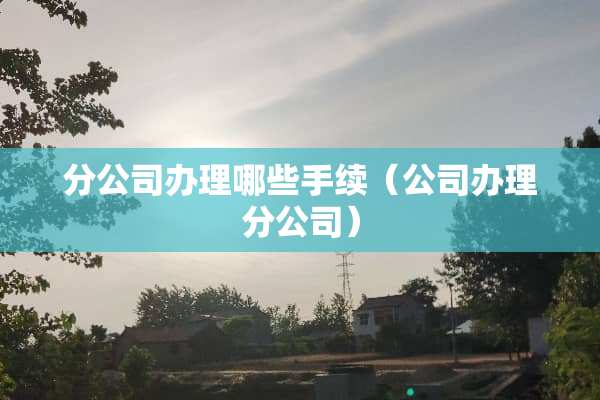 分公司办理哪些手续（公司办理分公司）