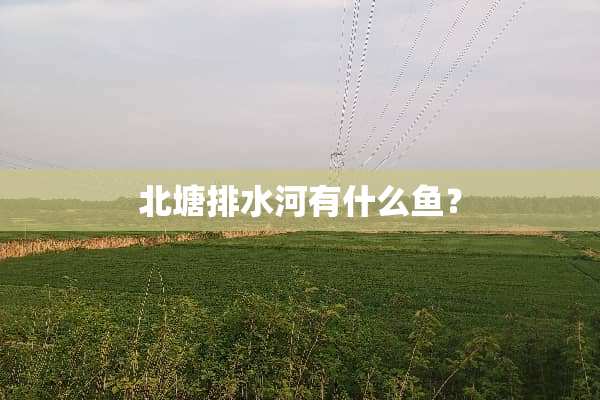 北塘排水河有什么鱼？