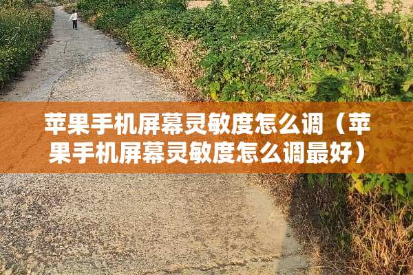 苹果手机屏幕灵敏度怎么调（苹果手机屏幕灵敏度怎么调最好）