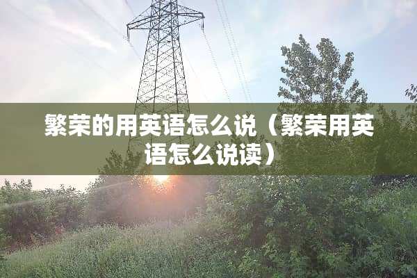 繁荣的用英语怎么说（繁荣用英语怎么说读）