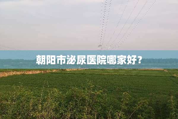 朝阳市泌尿医院哪家好？