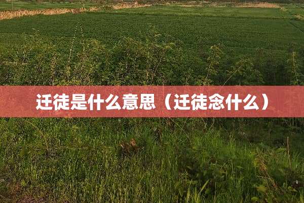 迁徒是什么意思（迁徒念什么）