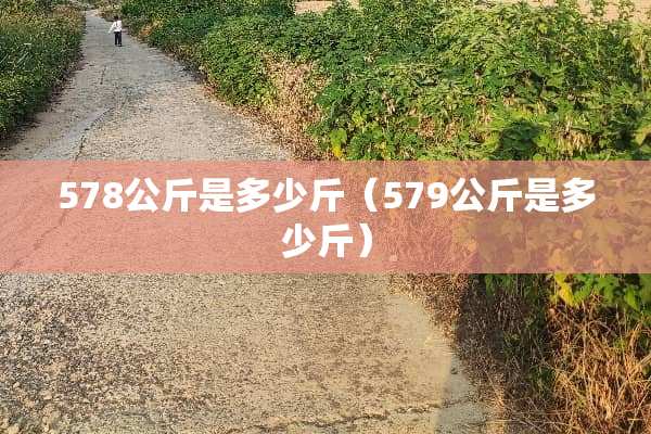 578公斤是多少斤（579公斤是多少斤）