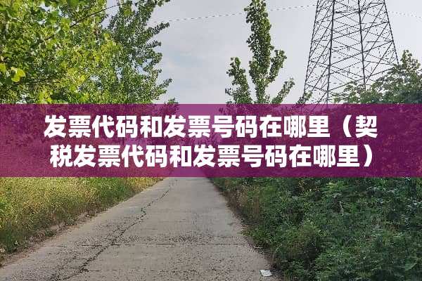 **代码和**号码在哪里（契税**代码和**号码在哪里）