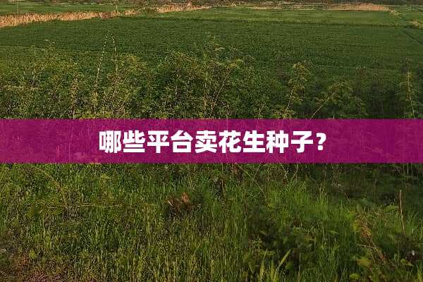 哪些平台卖花生种子？