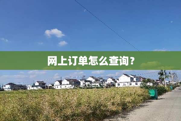 网上订单怎么查询？