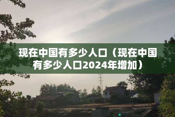 现在中国有多少人口（现在中国有多少人口2024年增加）