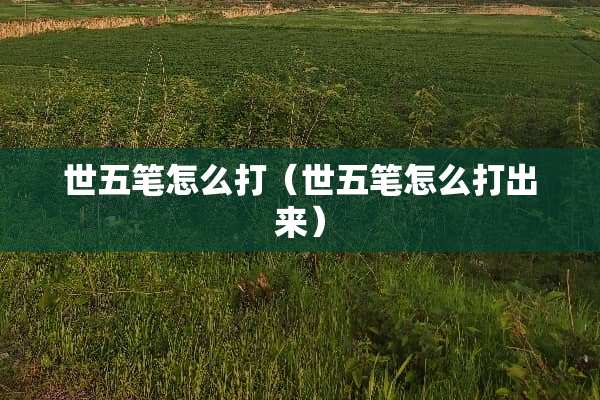 世五笔怎么打（世五笔怎么打出来）