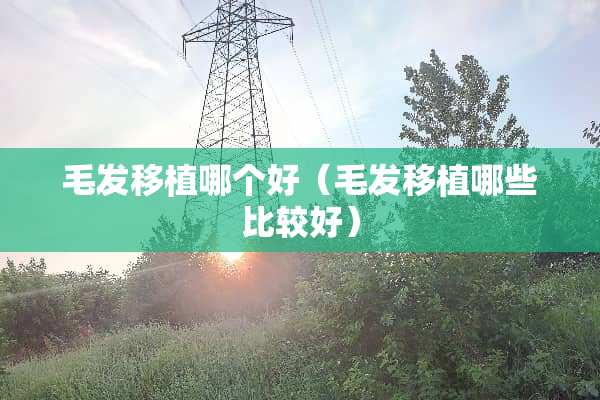 毛发移植哪个好（毛发移植哪些比较好）