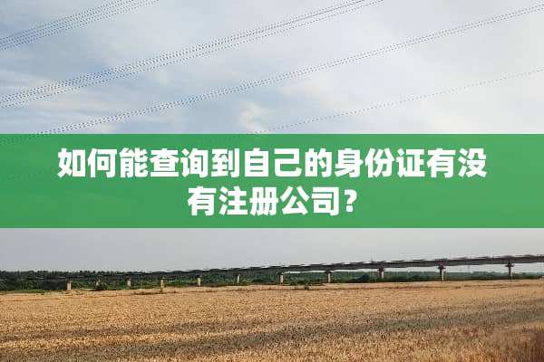 如何能查询到自己的***有没有注册公司？