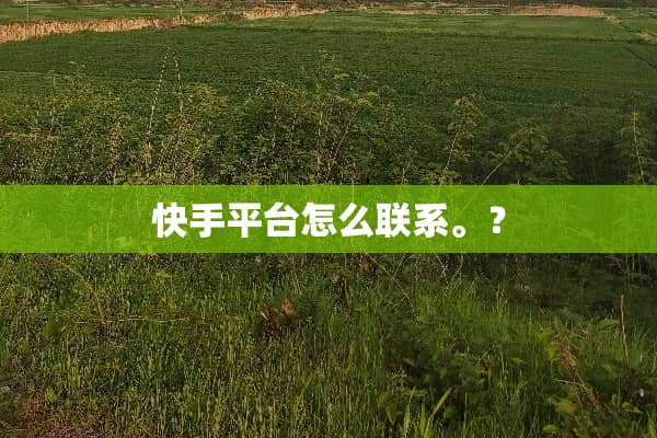 快手平台怎么联系。？