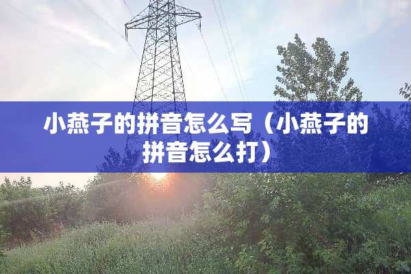 小燕子的拼音怎么写（小燕子的拼音怎么打）
