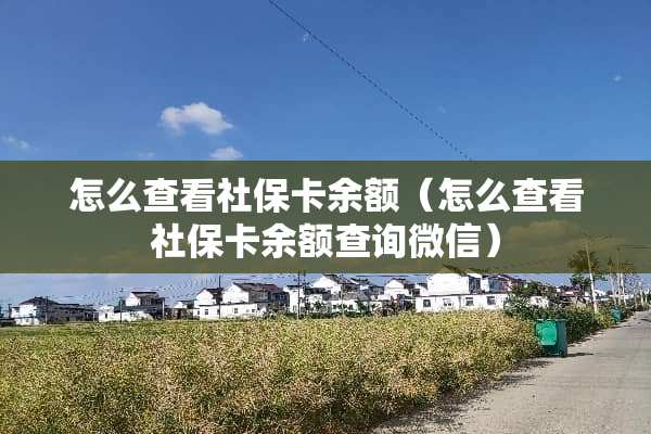 怎么查看社保卡余额（怎么查看社保卡余额查询微信）