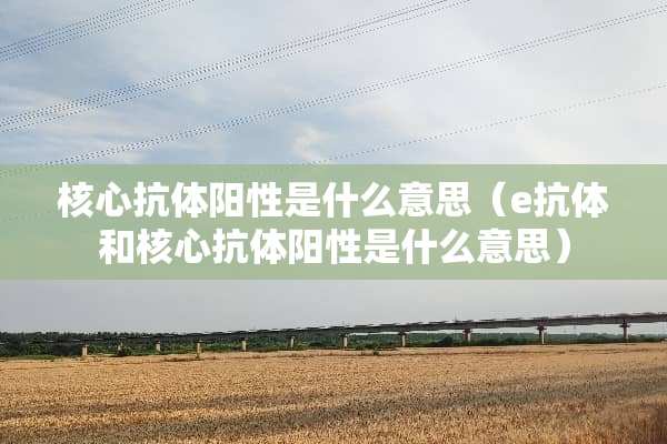 核心抗体阳性是什么意思（e抗体和核心抗体阳性是什么意思）