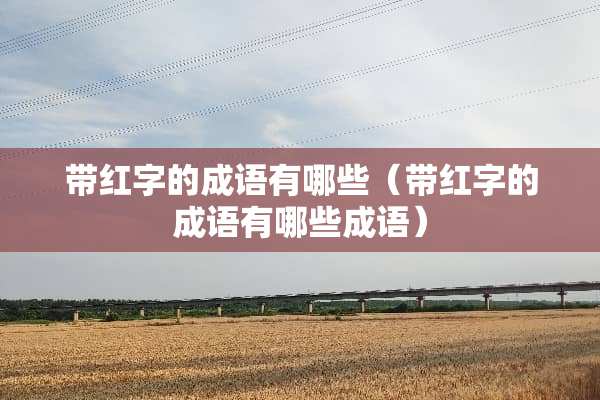 带红字的成语有哪些（带红字的成语有哪些成语）