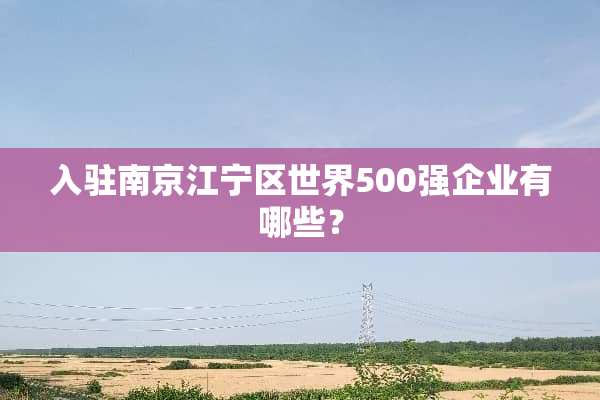 入驻南京江宁区世界500强企业有哪些？