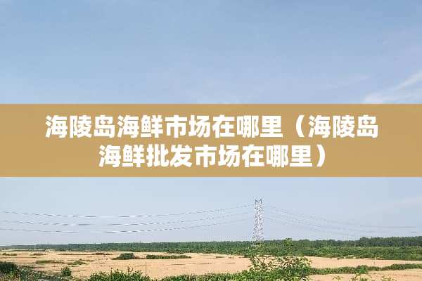 海陵岛海鲜市场在哪里（海陵岛海鲜批发市场在哪里）