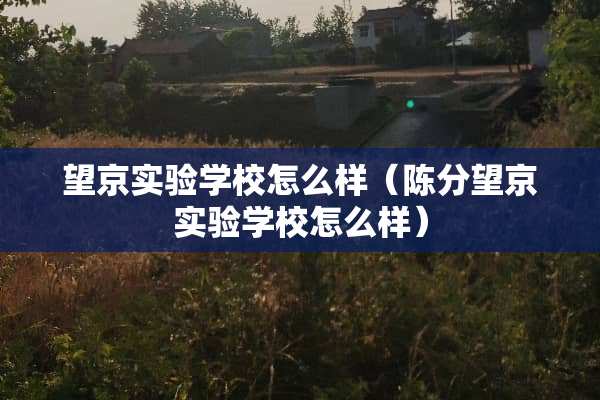 望京实验学校怎么样（陈分望京实验学校怎么样）