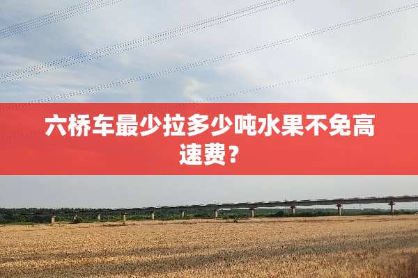 六桥车最少拉多少吨水果不免高速费？