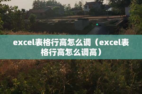 excel表格行高怎么调（excel表格行高怎么调高）