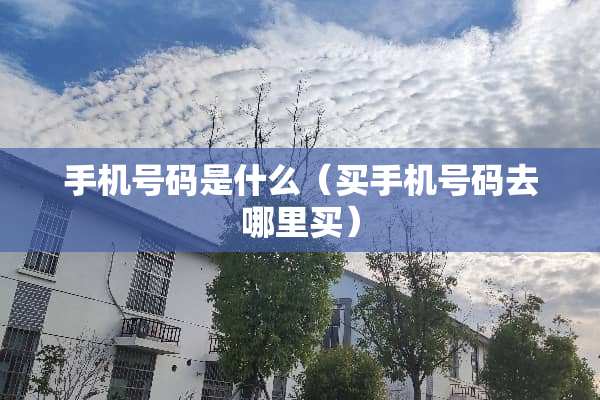 手机号码是什么（买手机号码去哪里买）