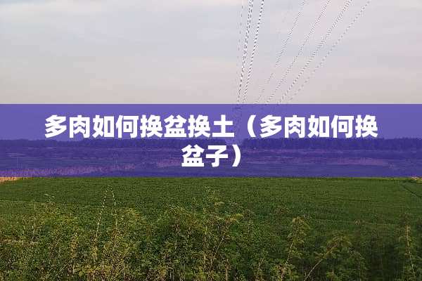 多肉如何换盆换土（多肉如何换盆子）
