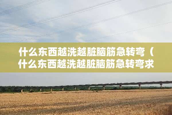 什么东西越洗越脏脑筋急转弯（什么东西越洗越脏脑筋急转弯求答案）