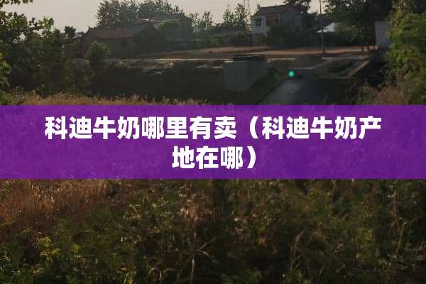 科迪牛奶哪里有卖（科迪牛奶产地在哪）