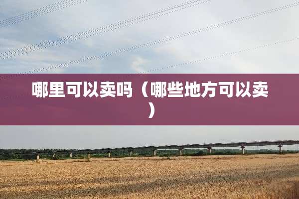 哪里可以卖吗（哪些地方可以卖）