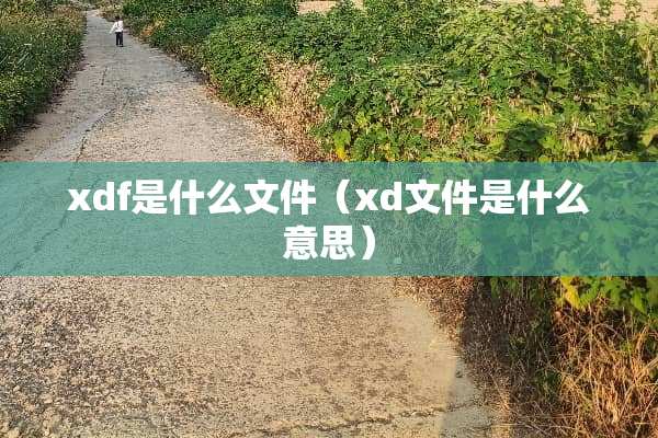 xdf是什么文件（xd文件是什么意思）