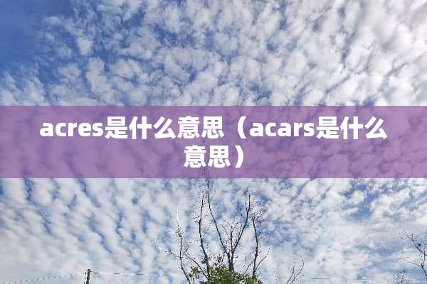 acres是什么意思（acars是什么意思）