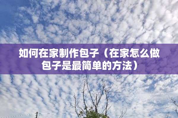 如何在家制作包子（在家怎么做包子是最简单的方法）