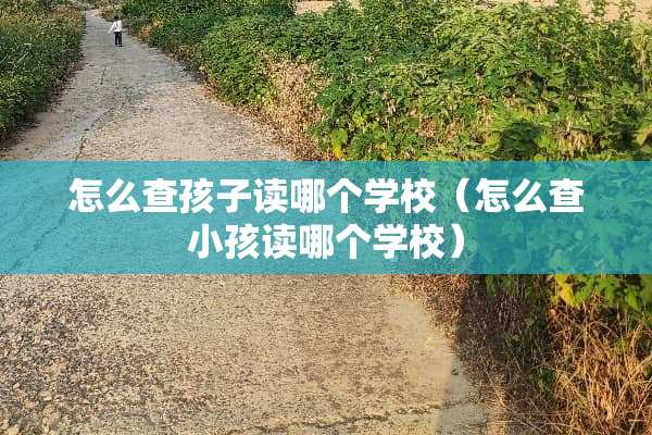 怎么查孩子读哪个学校（怎么查小孩读哪个学校）
