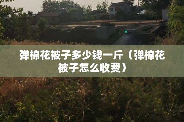 弹棉花被子多少钱一斤（弹棉花被子怎么收费）