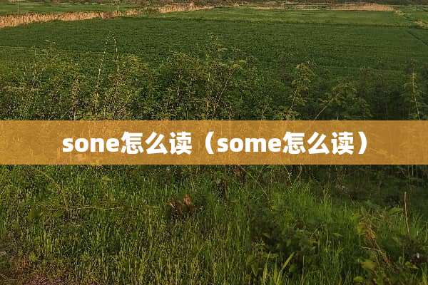 sone怎么读（some怎么读）