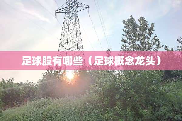**股有哪些（**概念龙头）