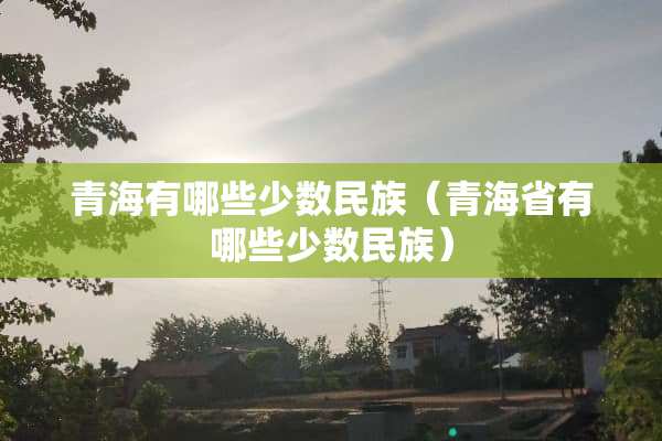青海有哪些少数民族（青海省有哪些少数民族）