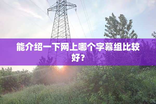 能介绍一下网上哪个字幕组比较好？