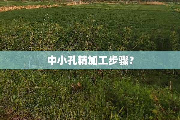 中小孔精加工步骤？