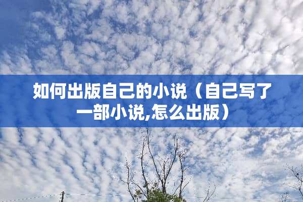 如何出版自己的小说（自己写了一部小说,怎么出版）