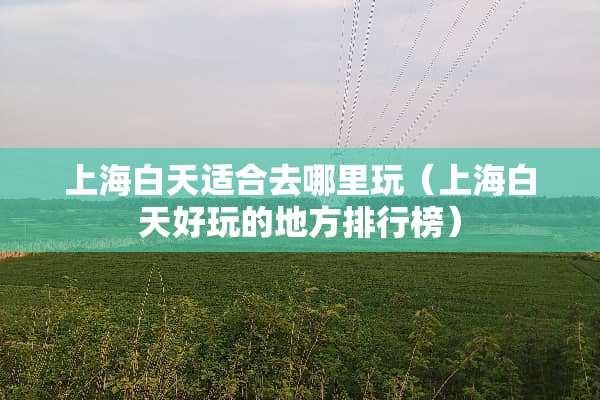 上海白天适合去哪里玩（上海白天好玩的地方排行榜）