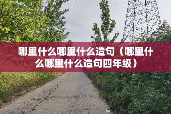 哪里什么哪里什么造句（哪里什么哪里什么造句四年级）